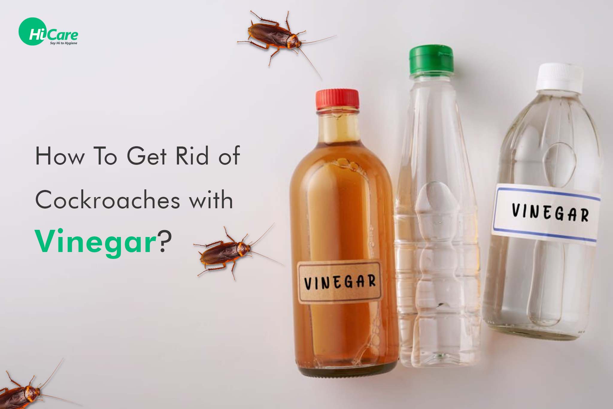 How to Use Vinegar to Get Rid of Cockroaches at Home?