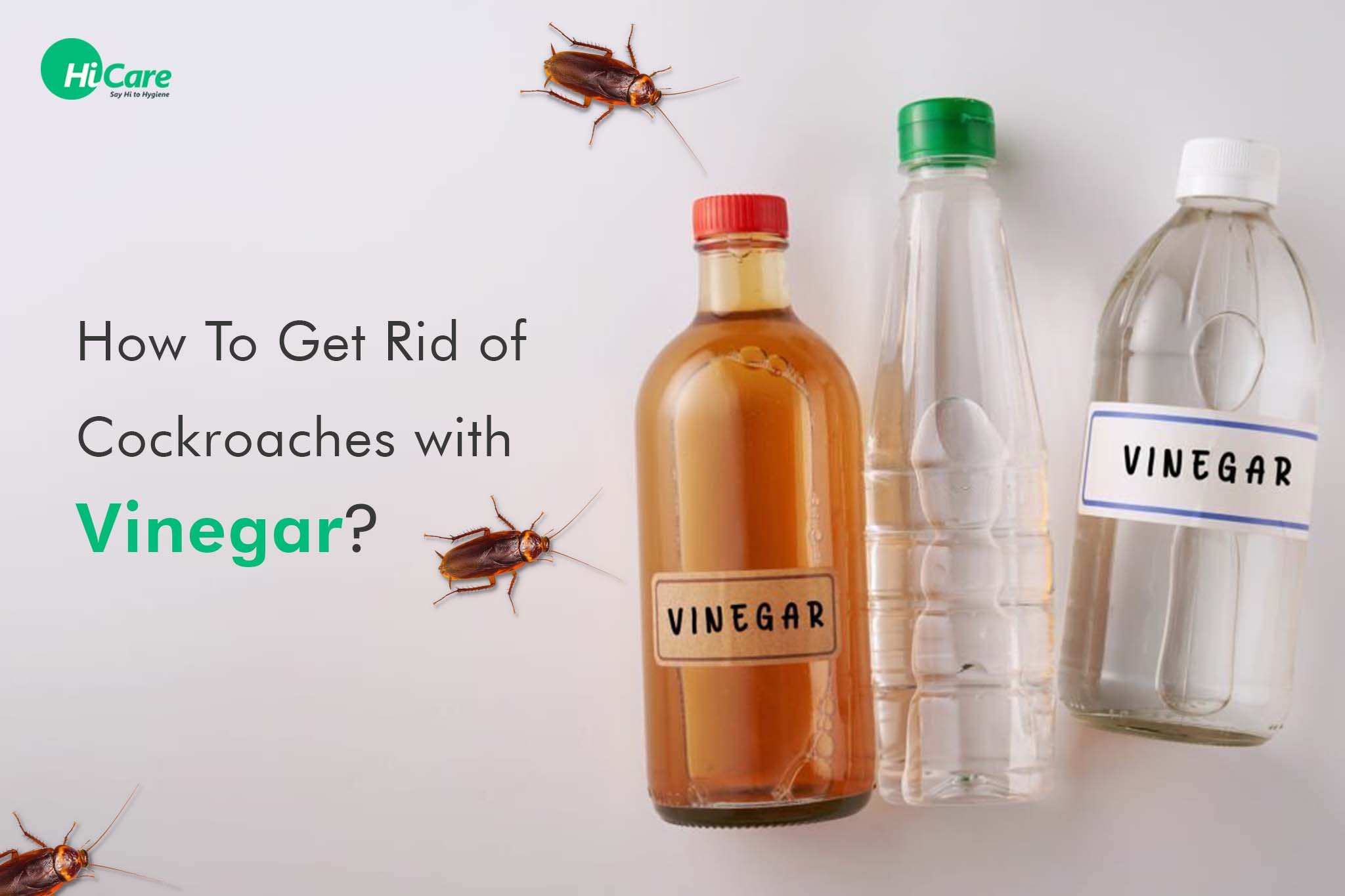 Best Tips on How to Use Vinegar to Get Rid of Cockroaches at Home