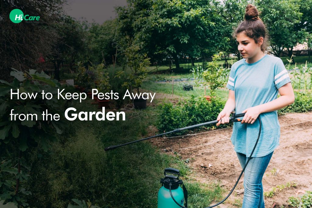 10 Best Ways to Keep Pests Away From Plants HiCare