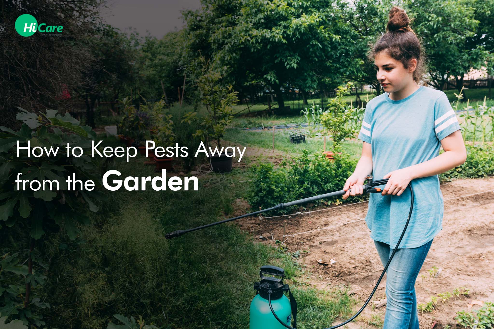 How to Keep Pests Away from the Garden?