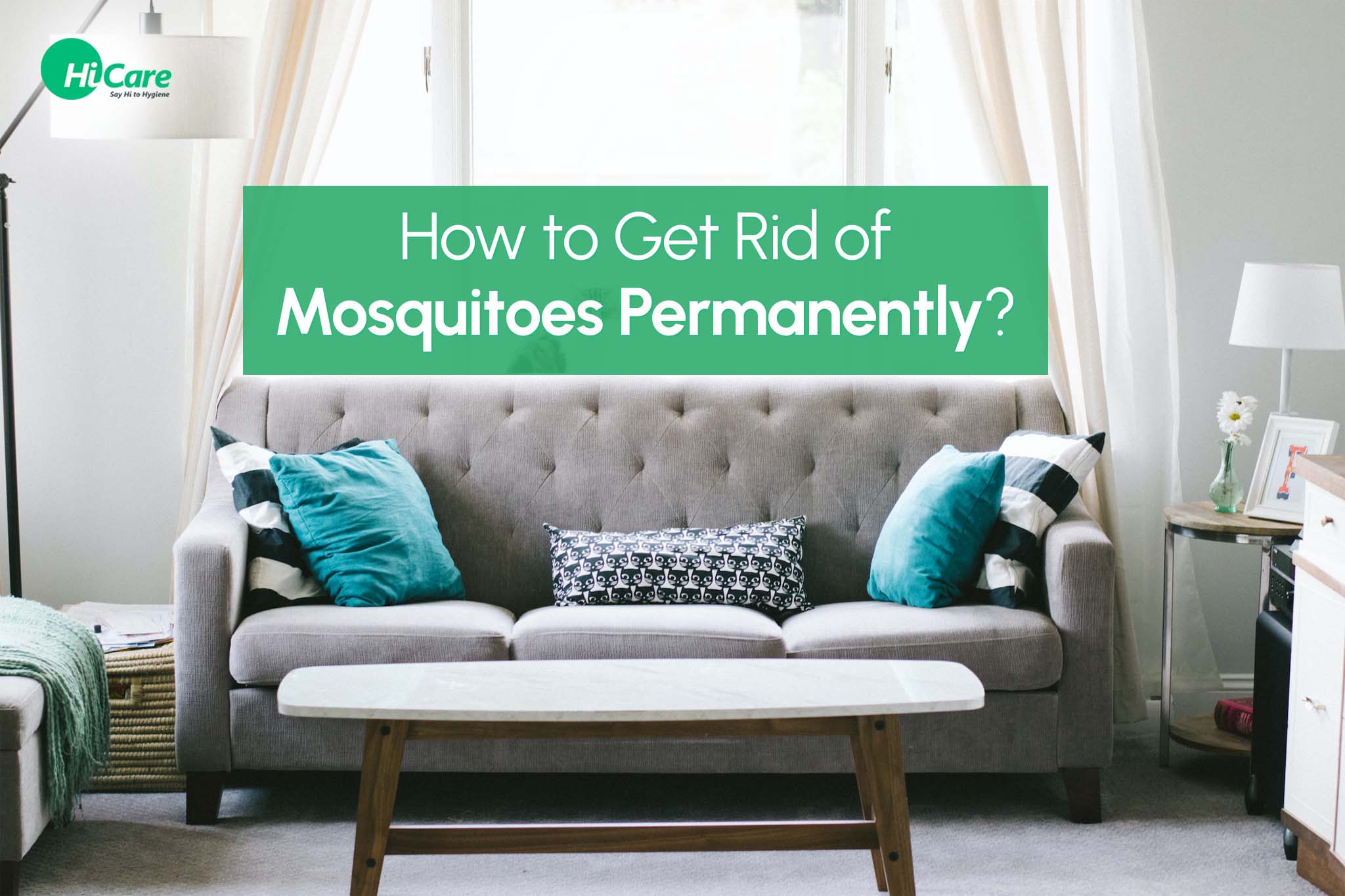 How to Get Rid of Mosquitoes Permanently?
