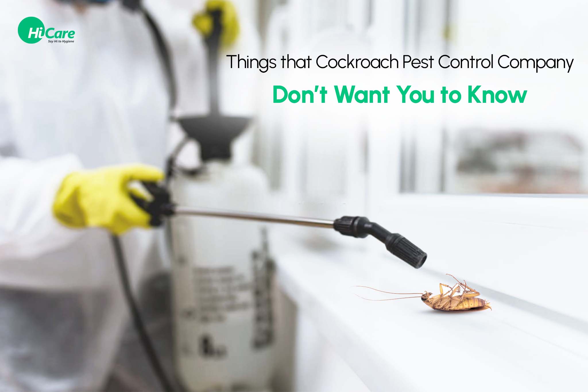 Things that Cockroach Pest Control Company Don’t Want You to Know