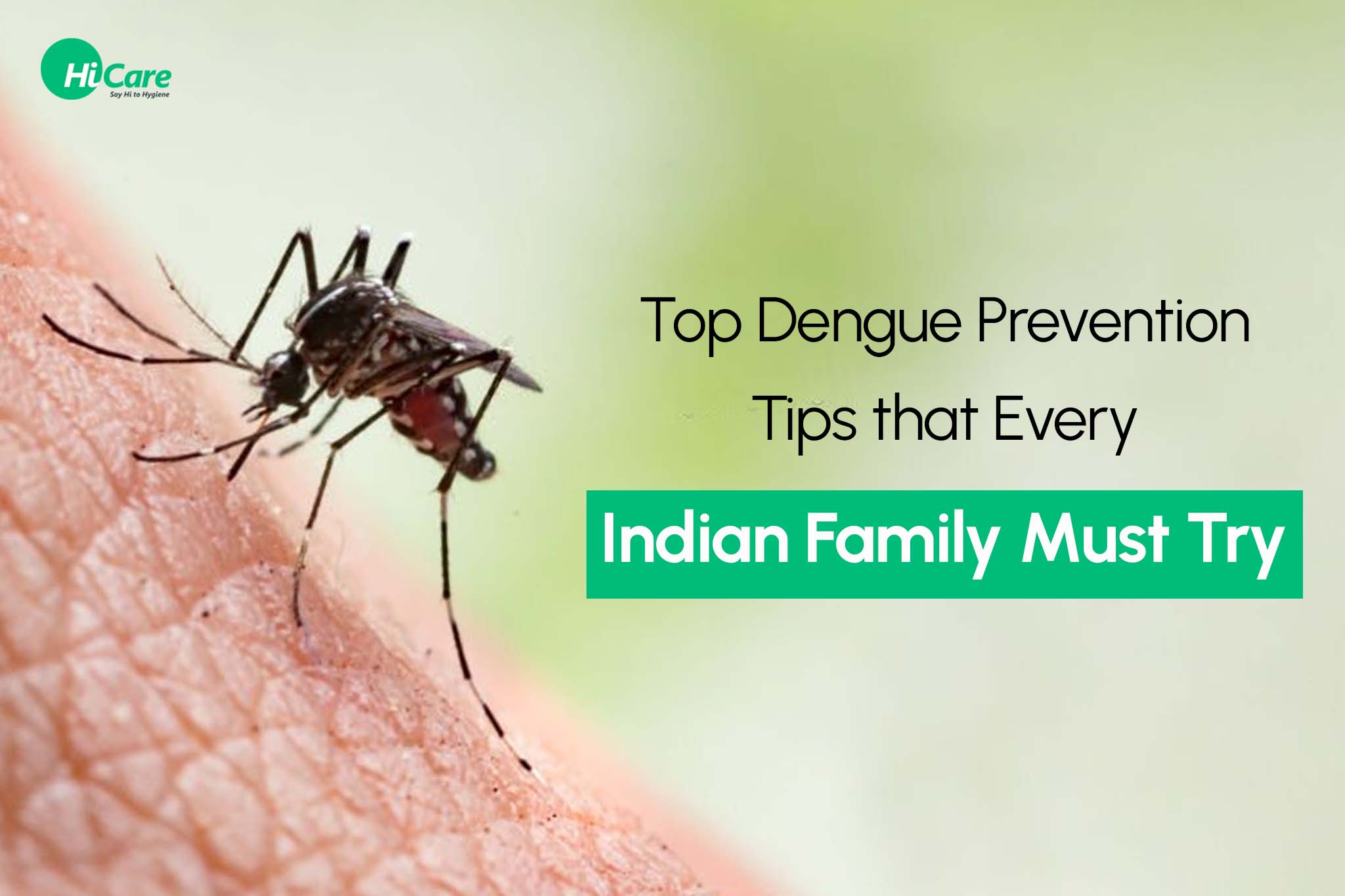 5 Dengue Prevention Tips Every Indian Family Must Try | HiCare