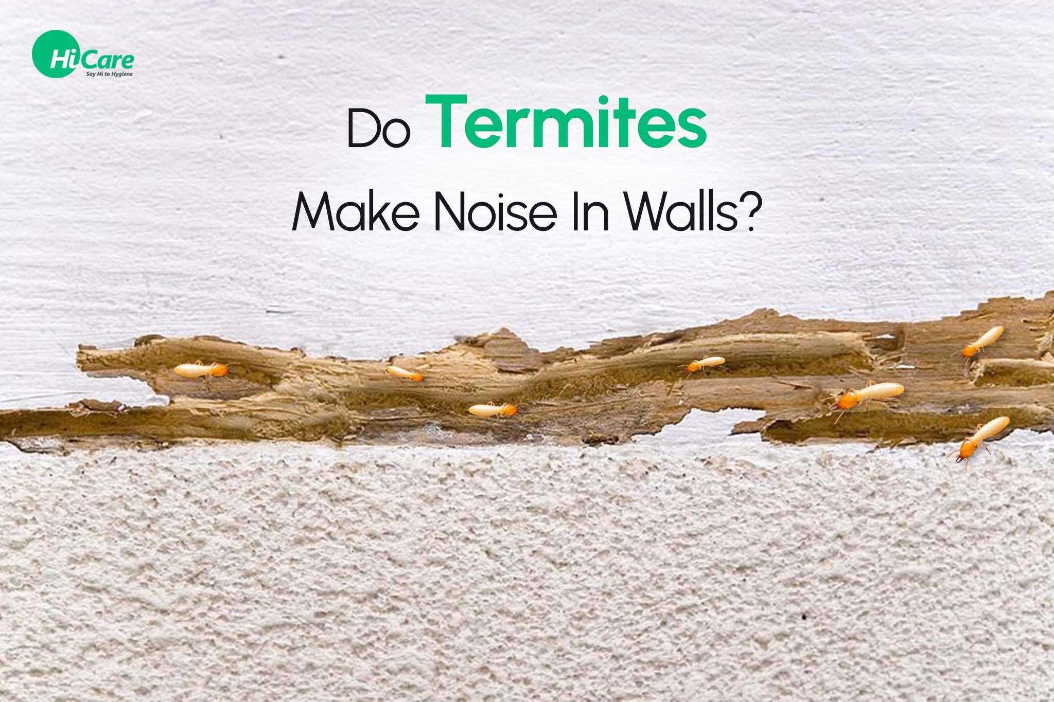 Do Termites Make Noise in the Walls?