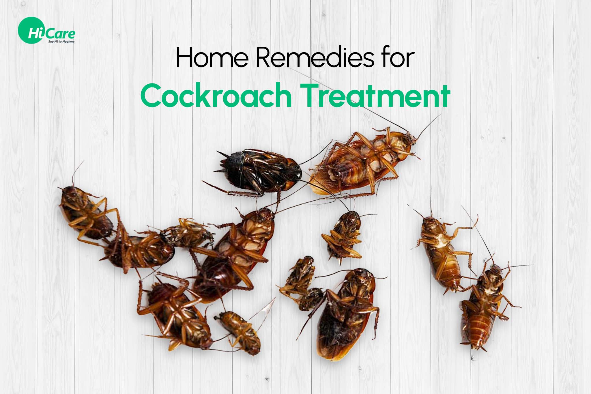 18 Simple Home Remedies For Cockroach Treatment You Must Try
