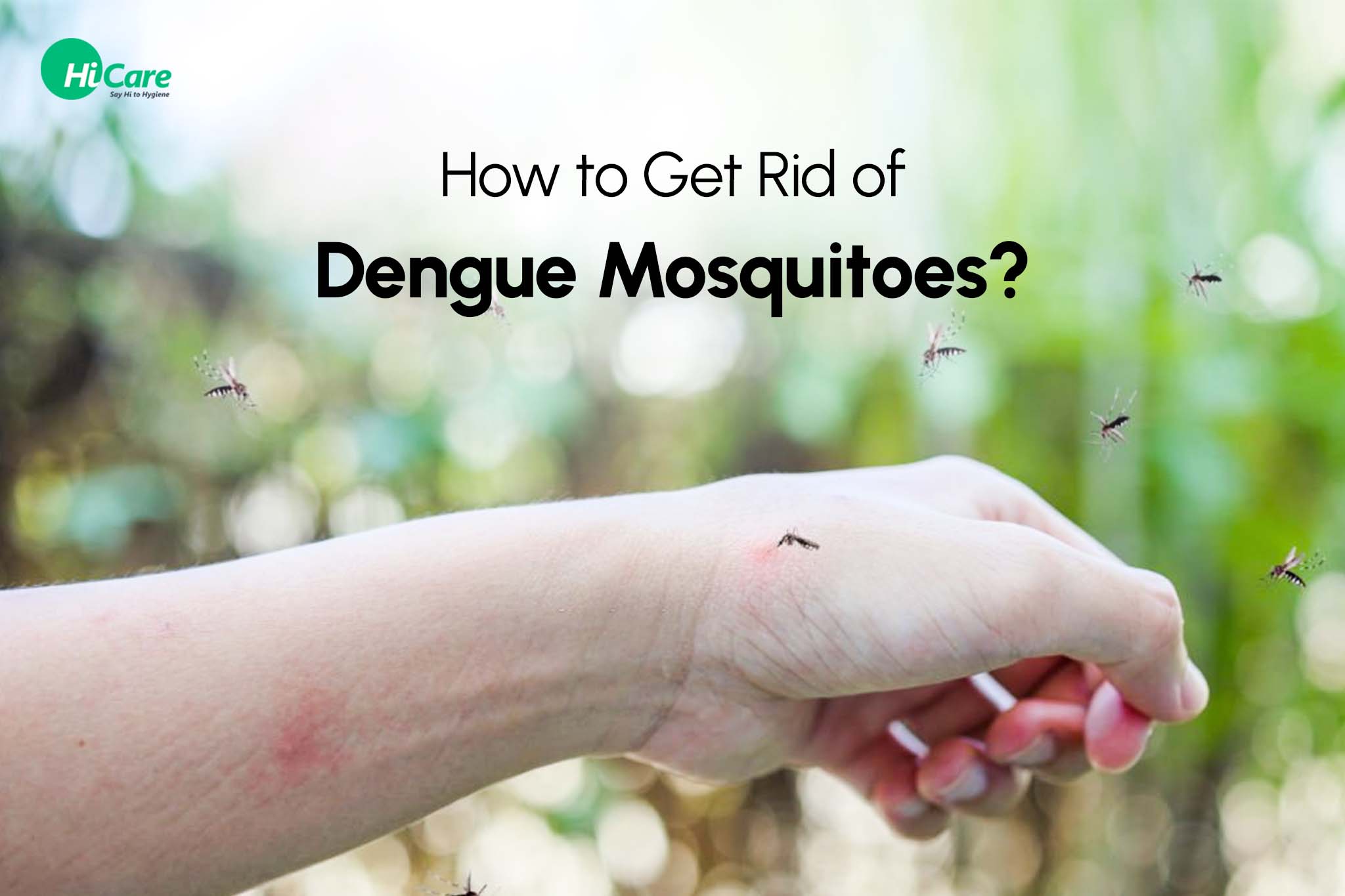 14 Best Tips to Get Rid of Dengue Mosquitoes at Home | HiCare