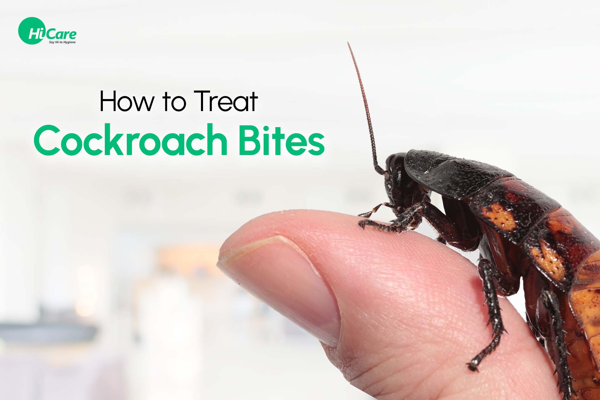 How to Treat Cockroach Bites?