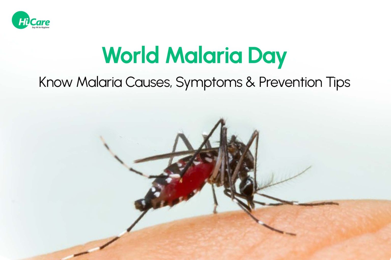 World Malaria Day 2023 - Check Malaria Causes, Symptoms & Prevention Tips