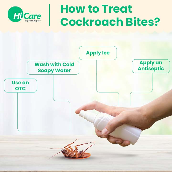 Cockroach Bite : Check Symptoms, Treatment and Prevention Tips
