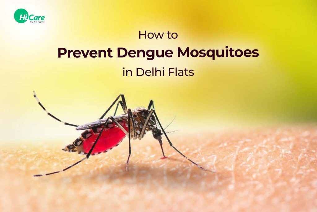 Best Tips to Prevent Dengue Mosquitoes in Delhi Flats HiCare