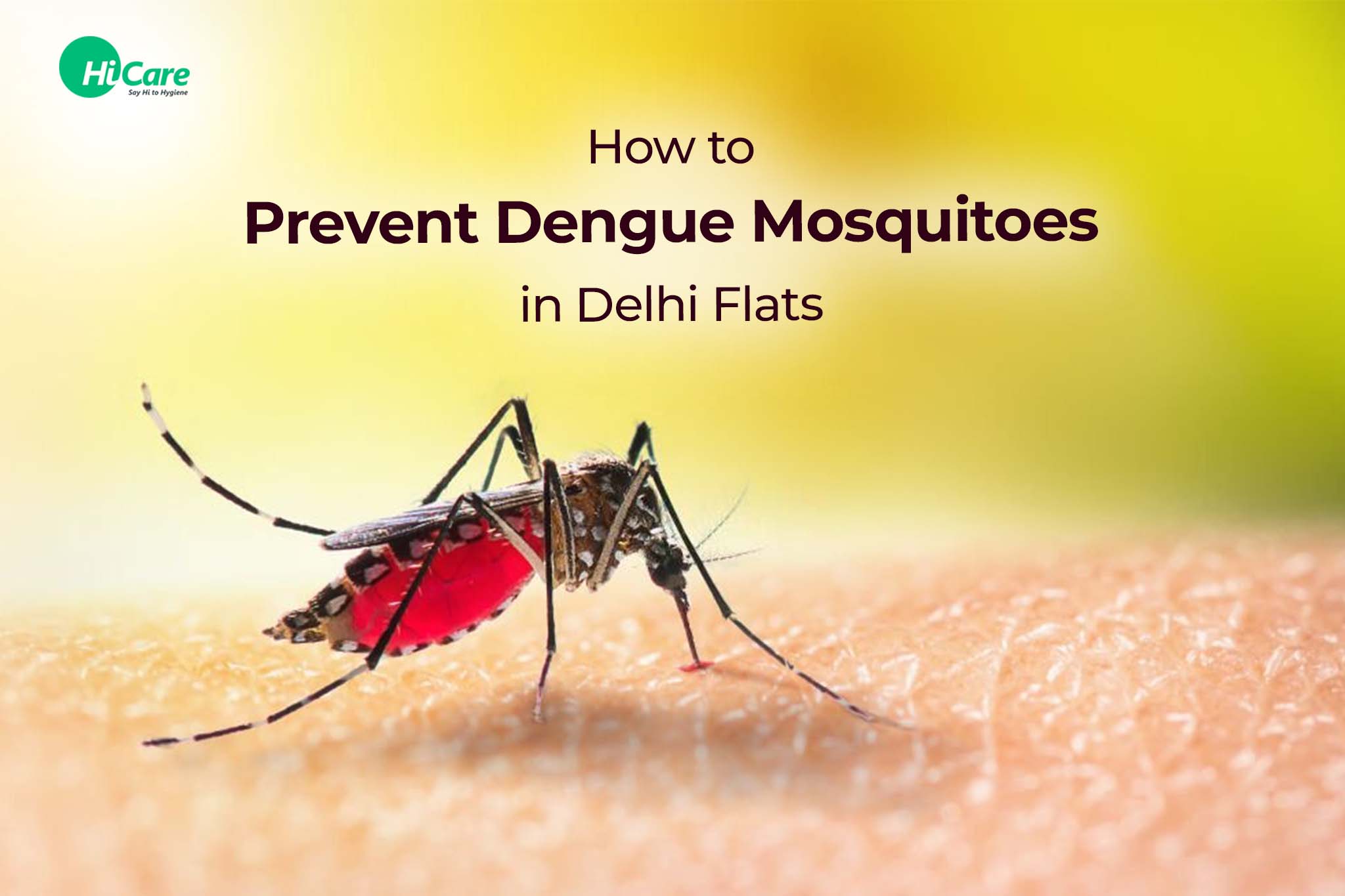 how to prevent dengue mosquitoes in delhi flats