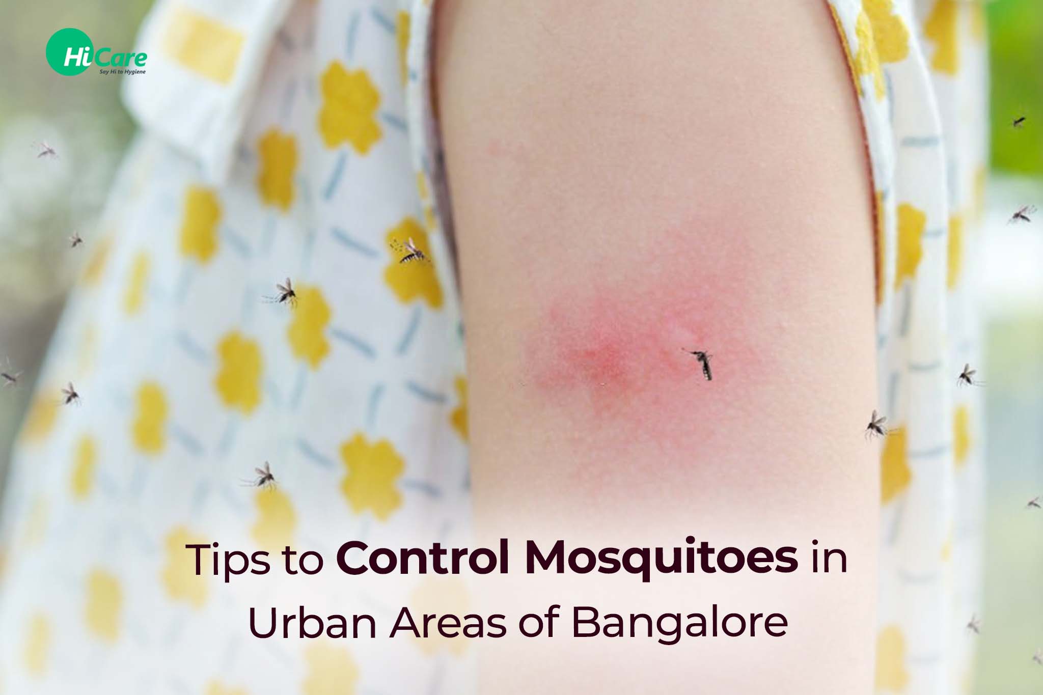 tips to control mosquitoes in urban areas of bangalore
