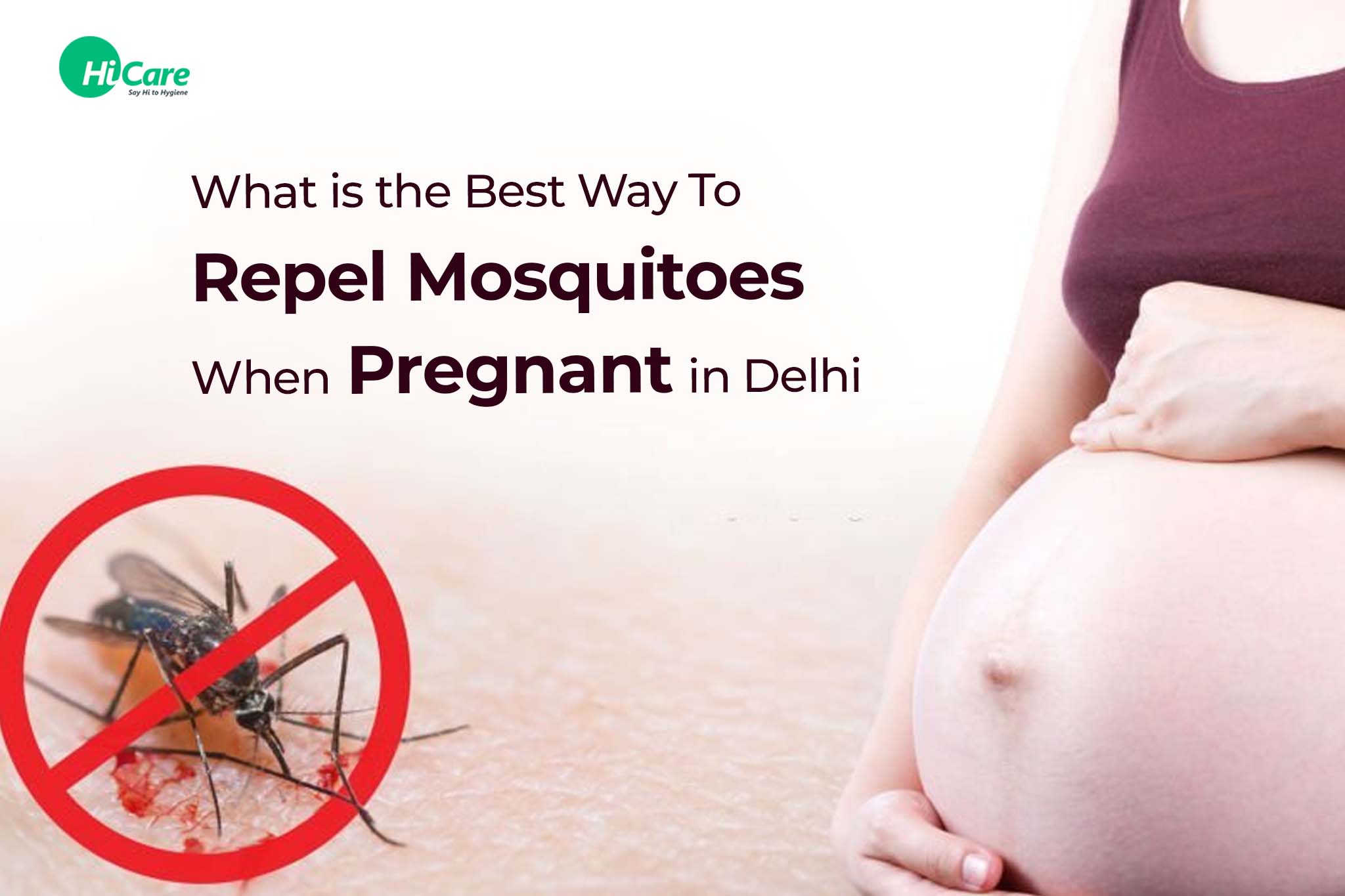 what is the best way to repel mosquitoes when pregnant in delhi