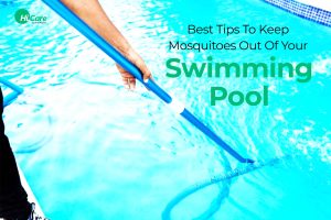 10 Top Tips to Keep Mosquitoes Away From Swimming Pool