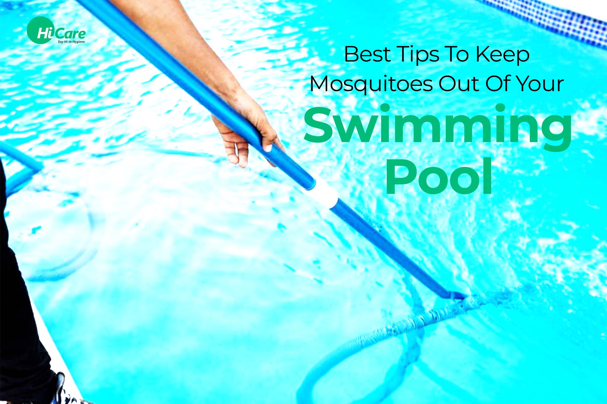 10 Top Tips to Keep Mosquitoes Away From Swimming Pool