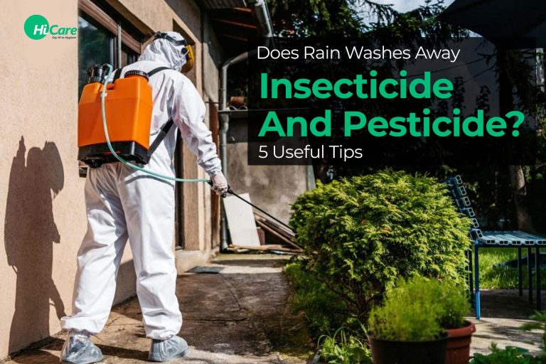 Does Rain Wash Away Insecticide and Pesticide Top 5 Tips