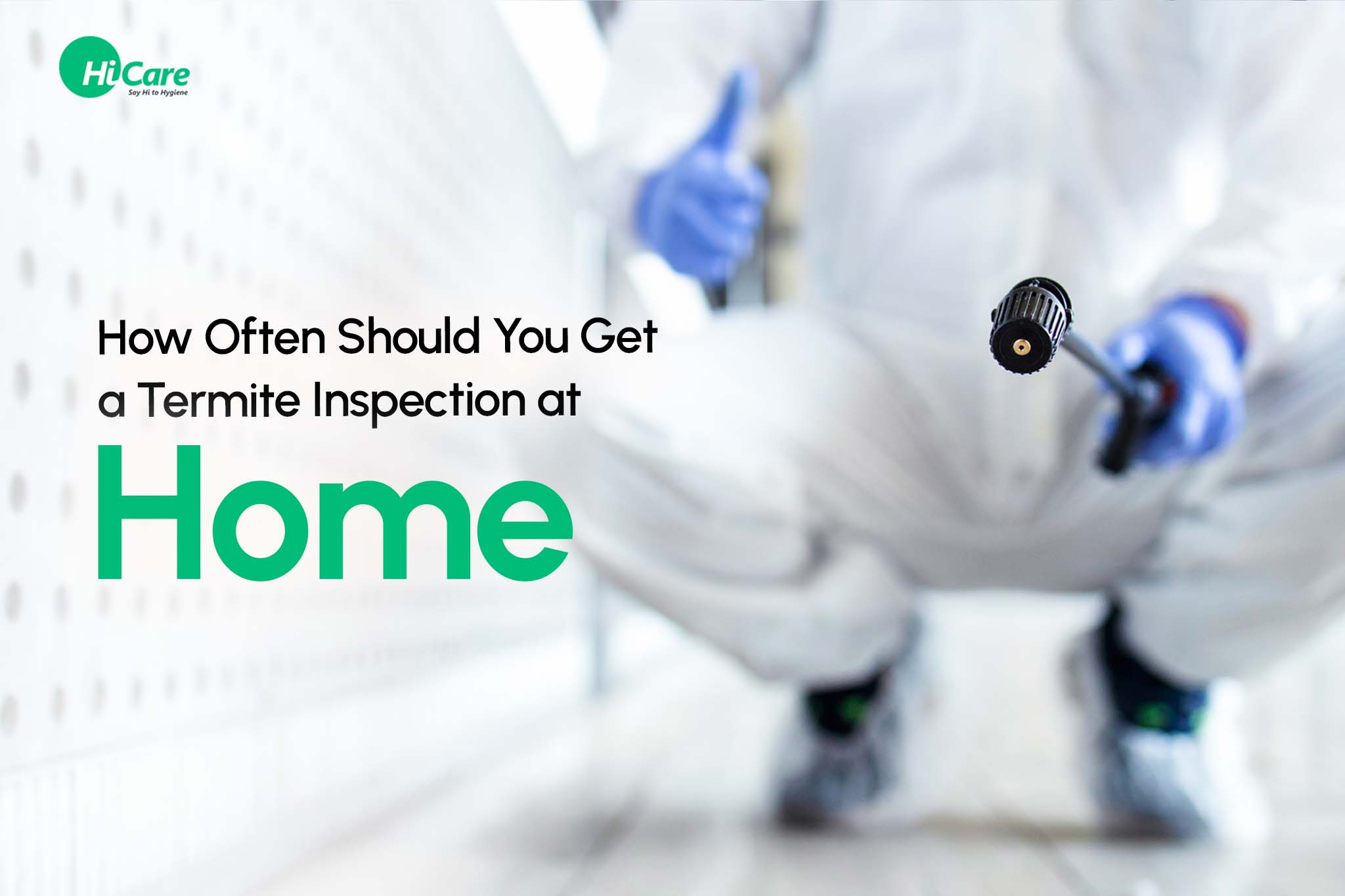 how often should you get a termite inspection at home