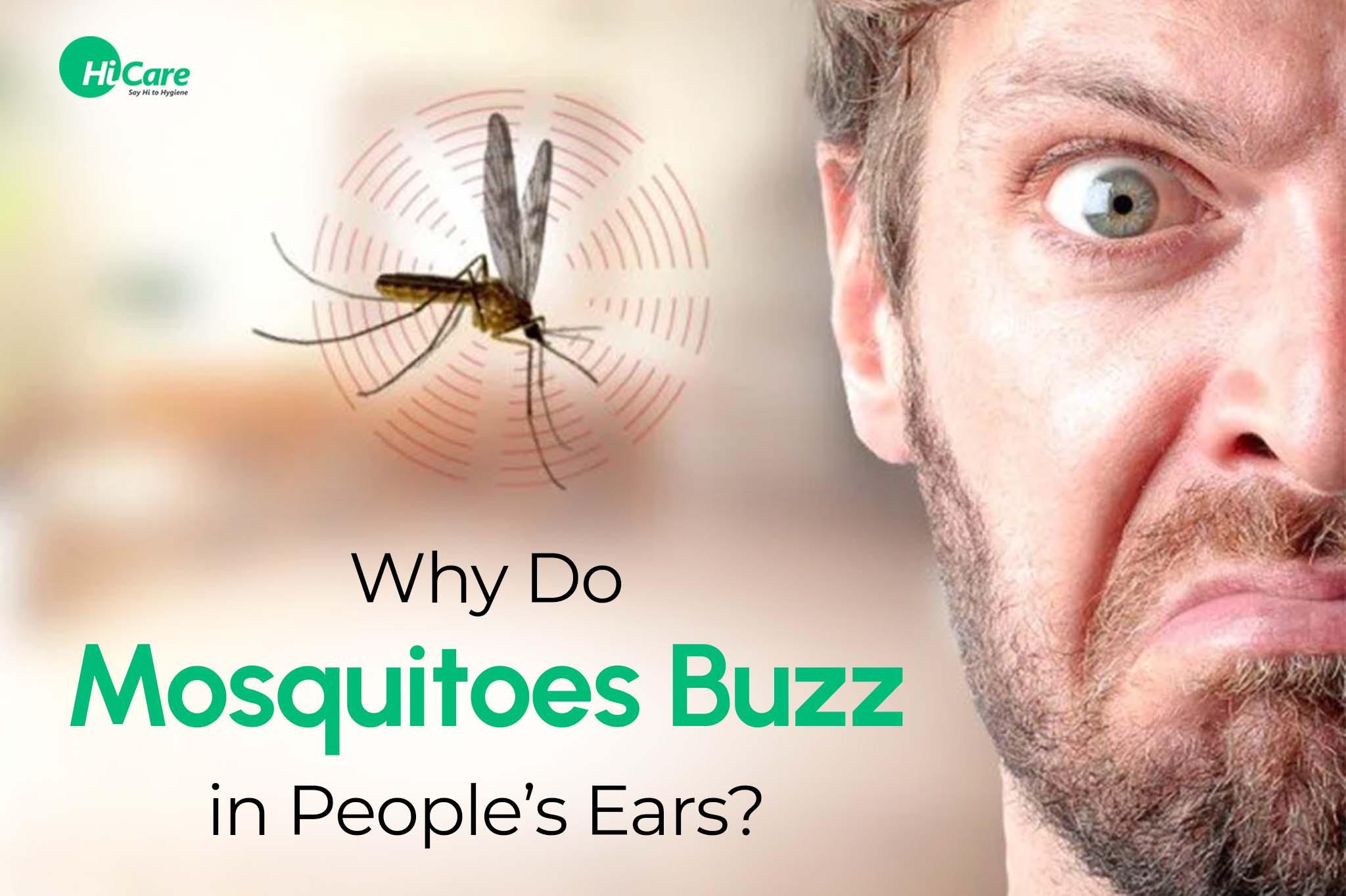 Why Do Mosquitoes Buzz in People’s Ears?