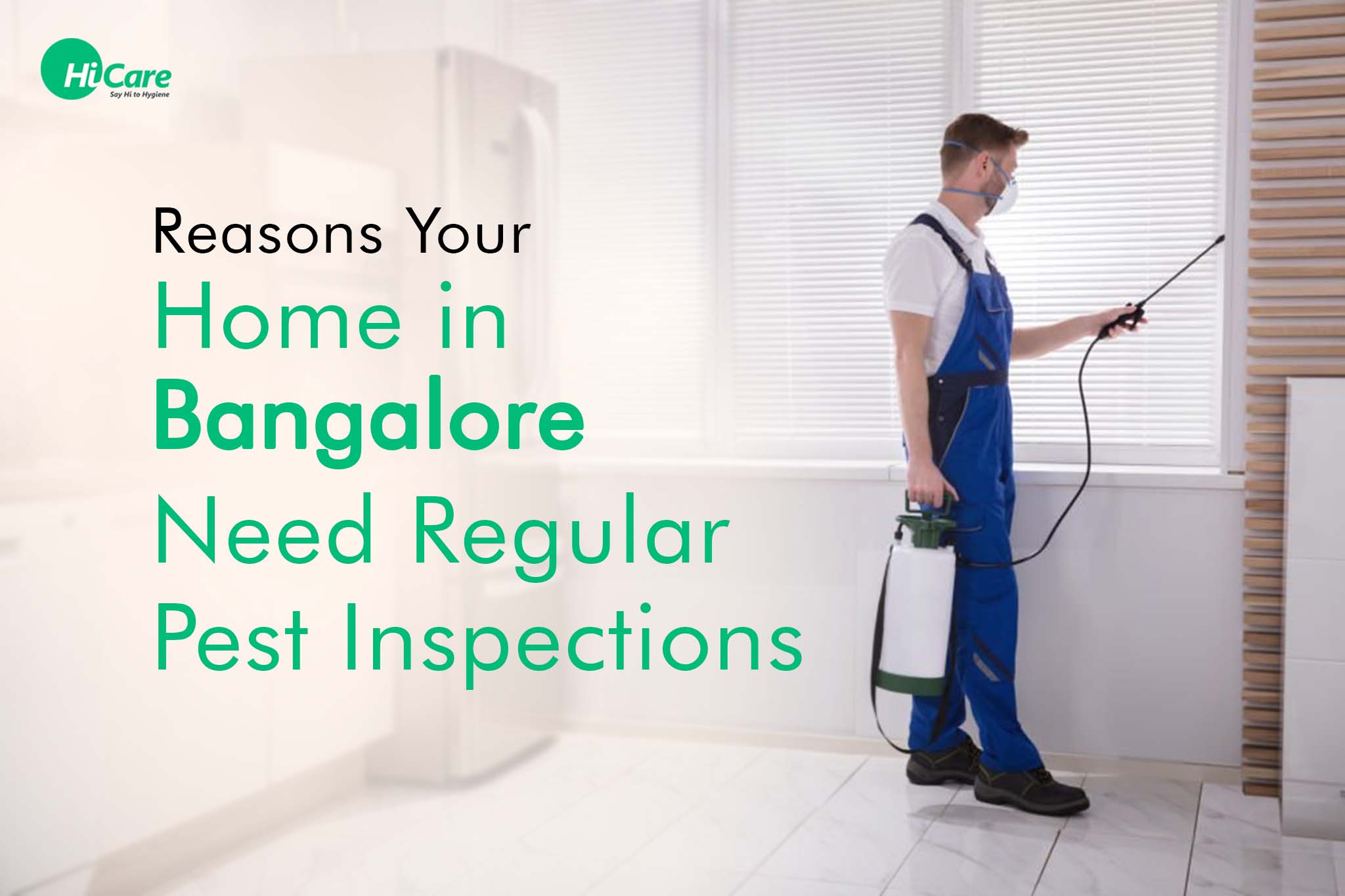 5 Reasons Your Home in Bangalore Need Regular Pest Inspections