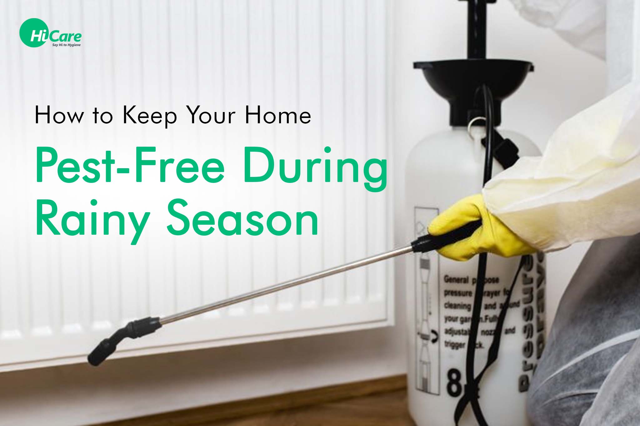 How to Keep Your Home Pest-Free During Rainy Season