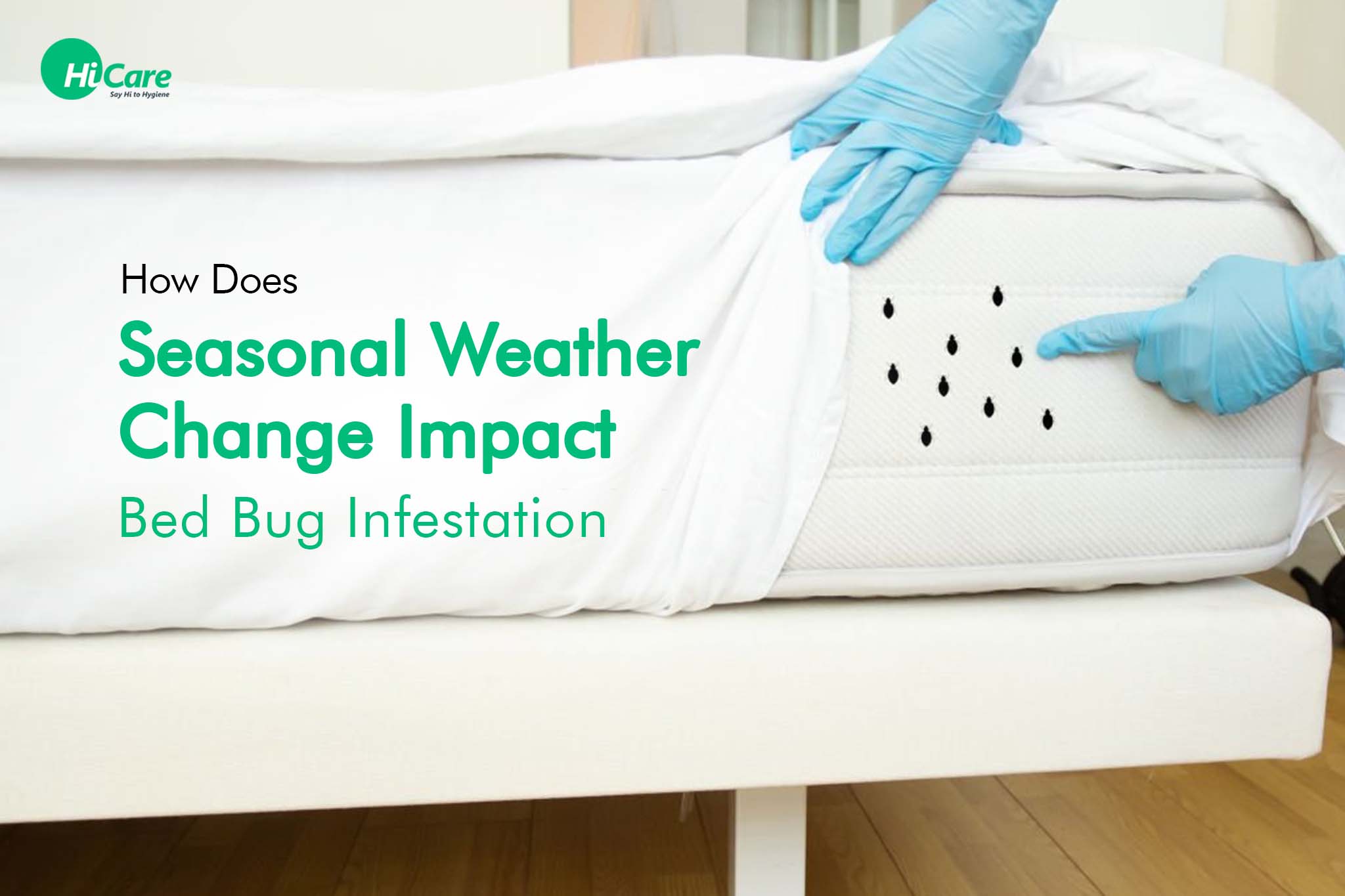 How Does Seasonal Weather Change Impact Bed Bug Infestation?