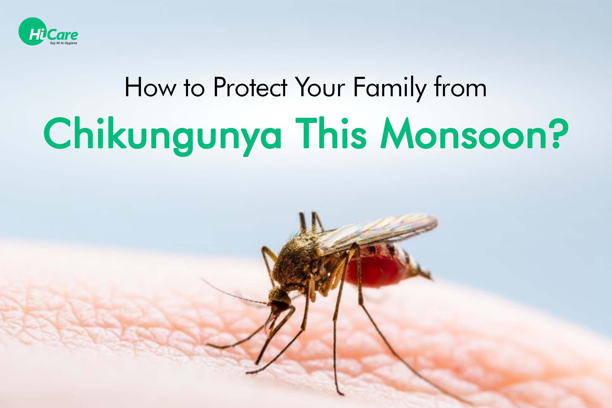How to Protect Your Family from Chikungunya This Monsoon?
