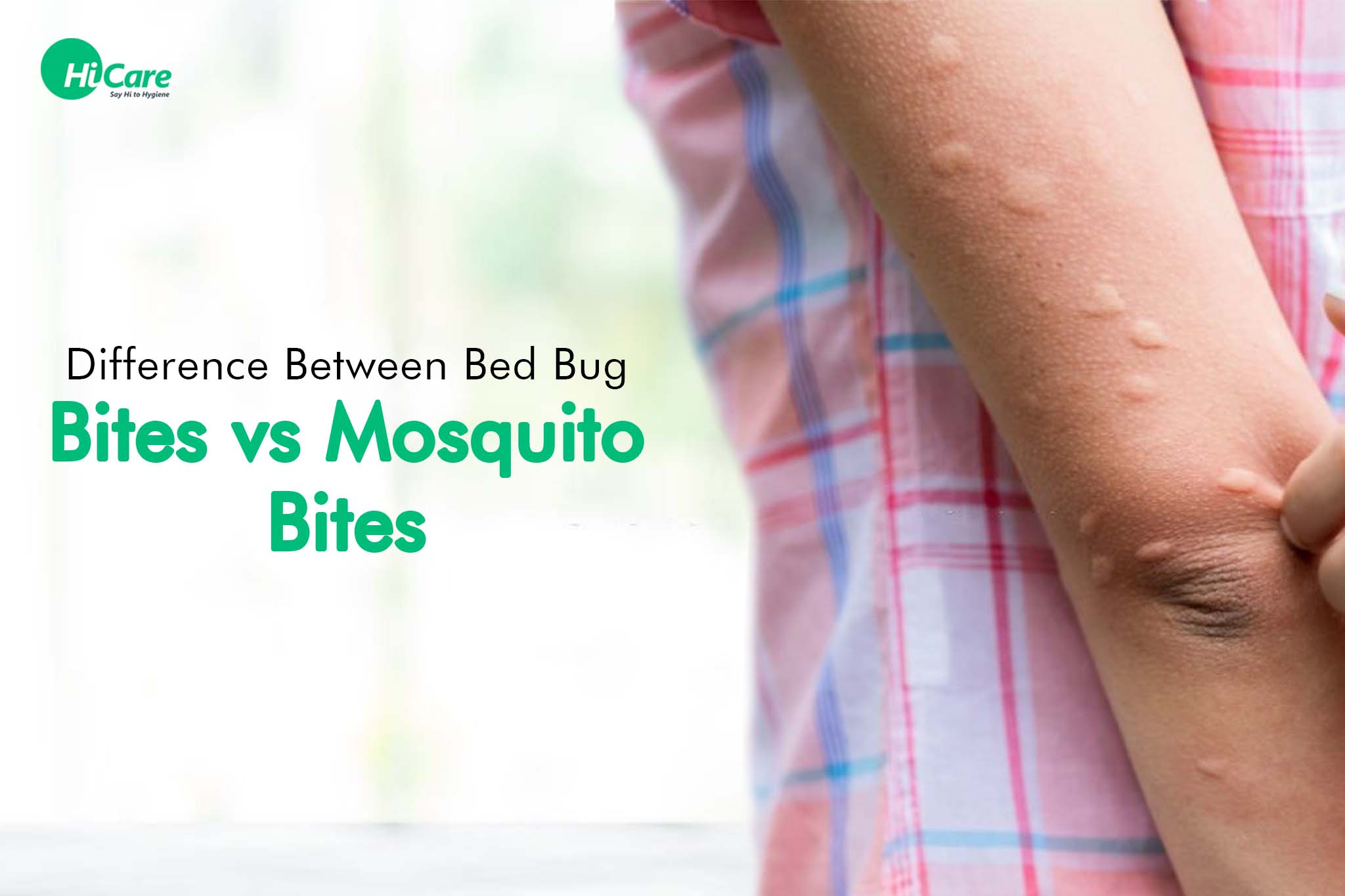 Difference Between Bed Bug Bites vs Mosquito Bites