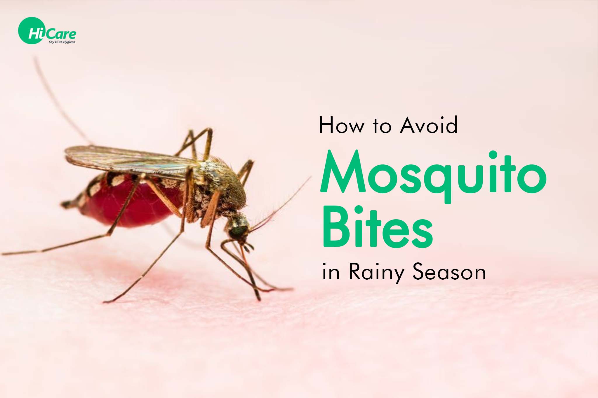 How to Avoid Mosquito Bites in Rainy Season?