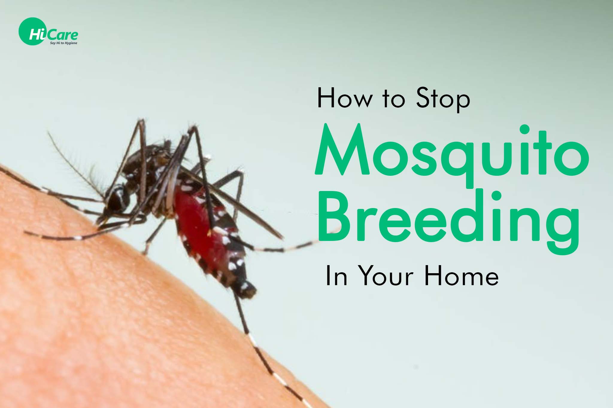 how to stop mosquito breeding in your home