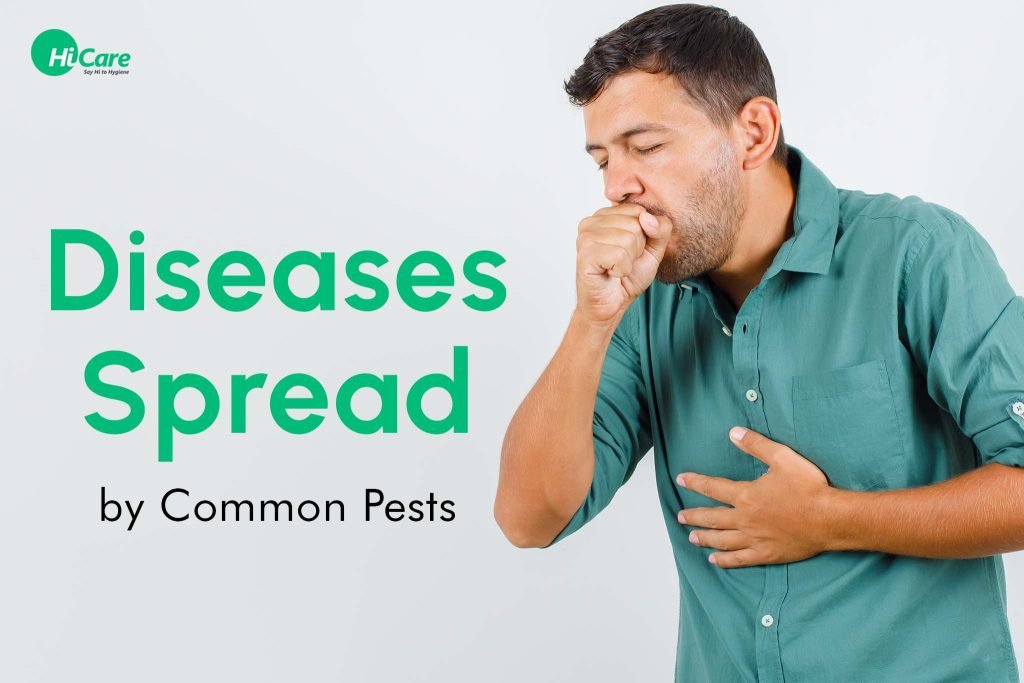 Top 9 Common Diseases Spread by Pests HiCare