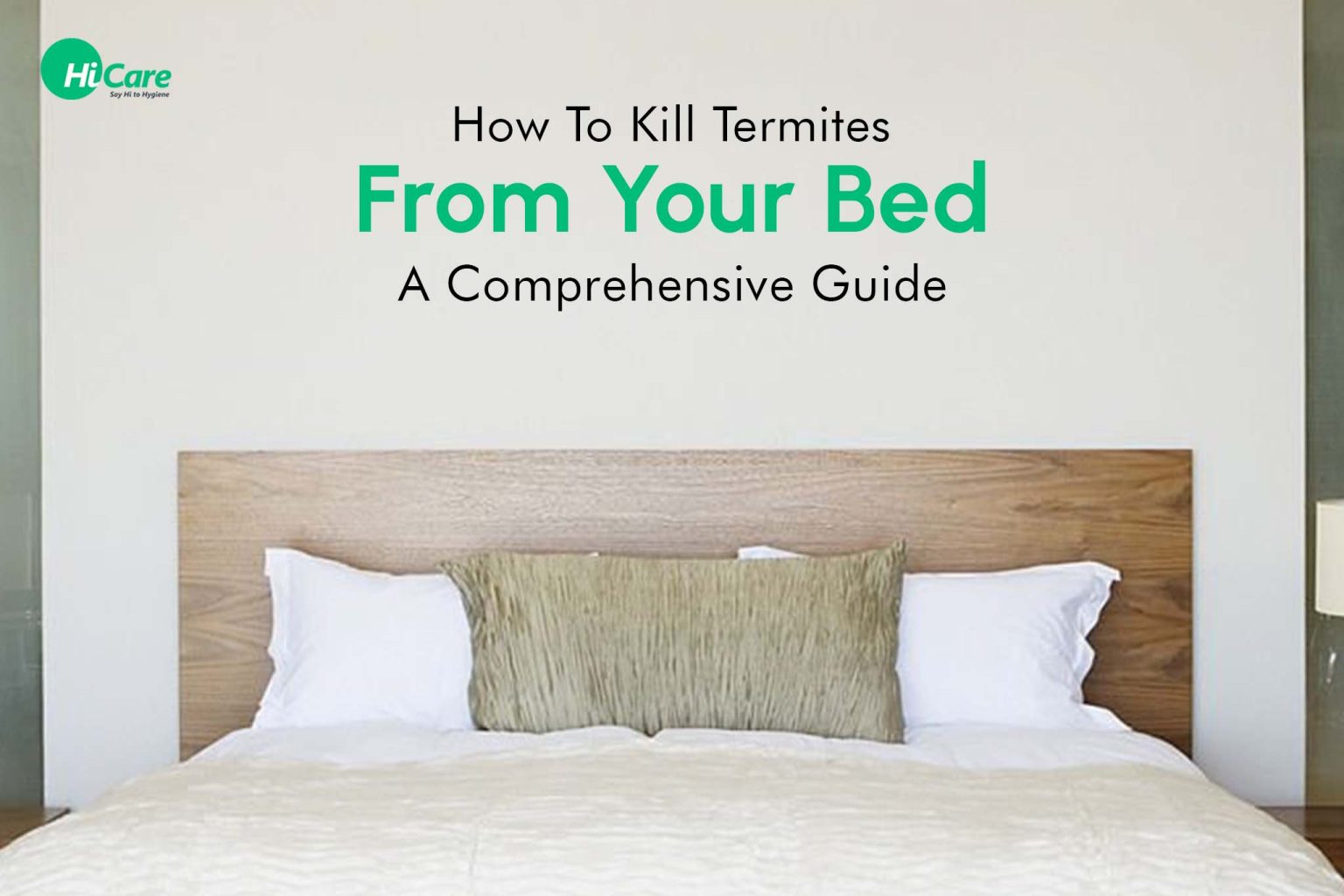 Top 5 Ways to Remove Termites from Your Bed HiCare