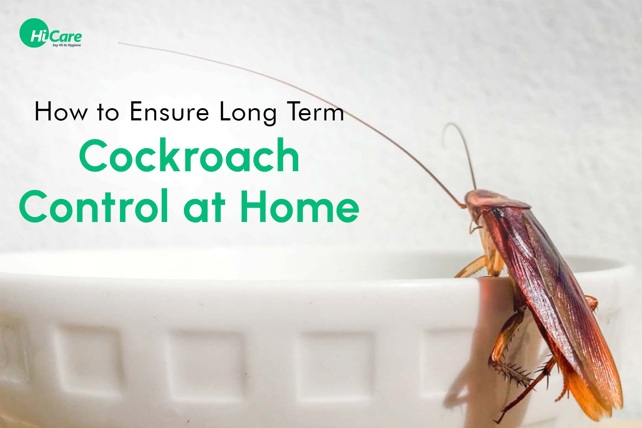 How to Ensure Long-Term Cockroach Control at Home