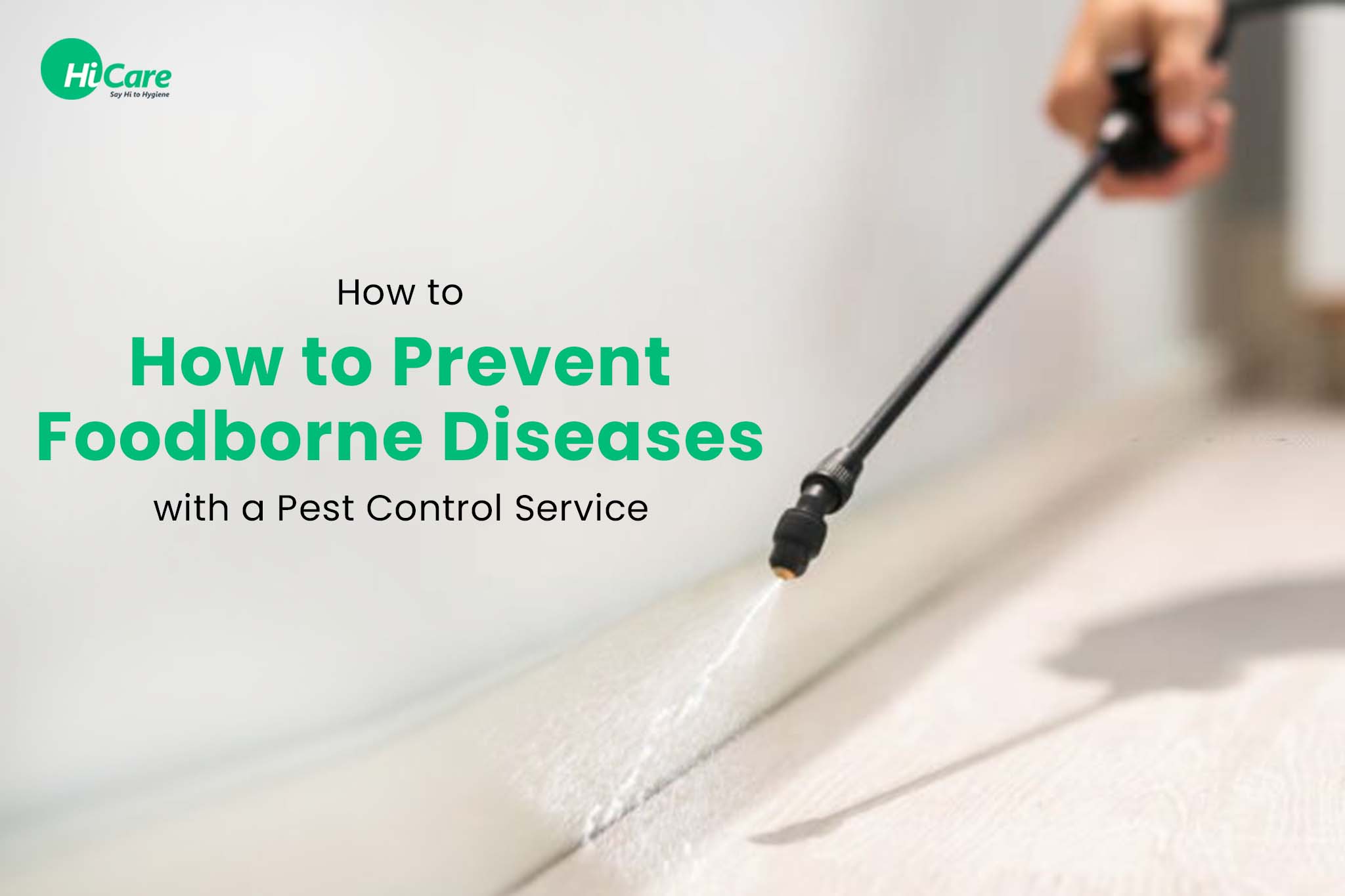 How to Prevent Food-borne Diseases with a Pest Control Service