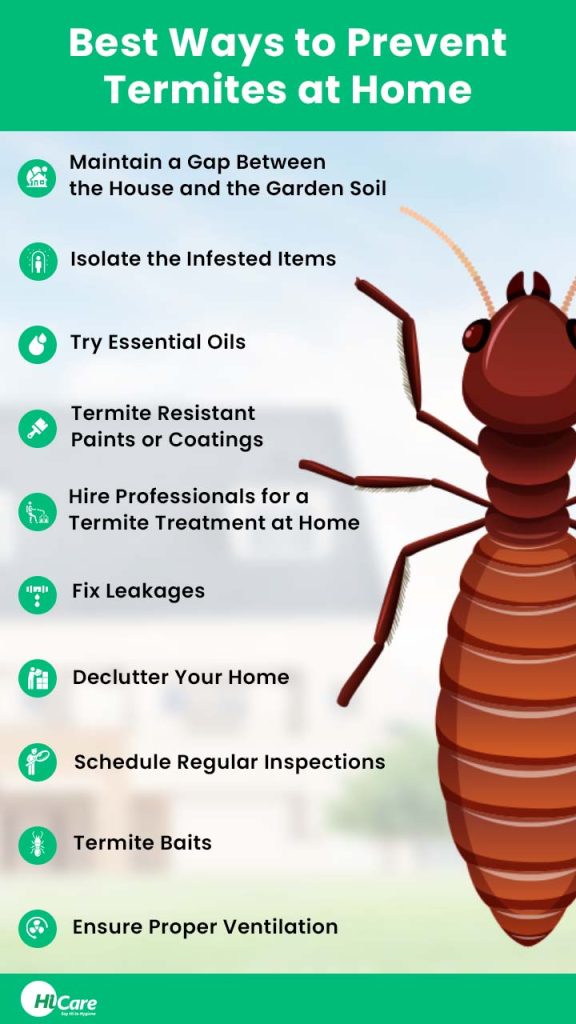 10 Best ways to prevent termites at home