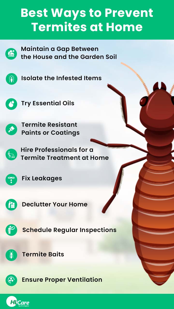 Top 10 Best Tips to Prevent Termites at Home | HiCare
