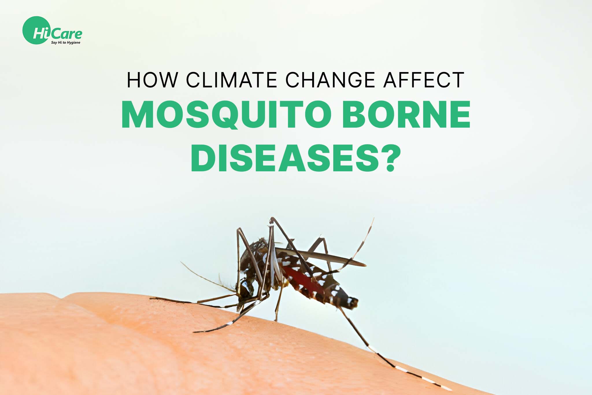 How Climate Change Affect Mosquito-Borne Diseases?