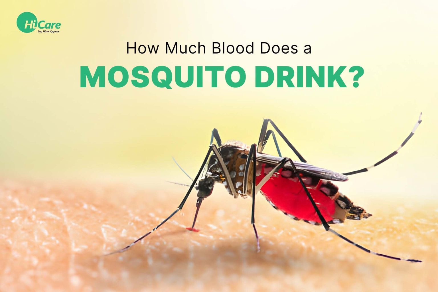 How Much Blood Does A Mosquito Drink | HiCare