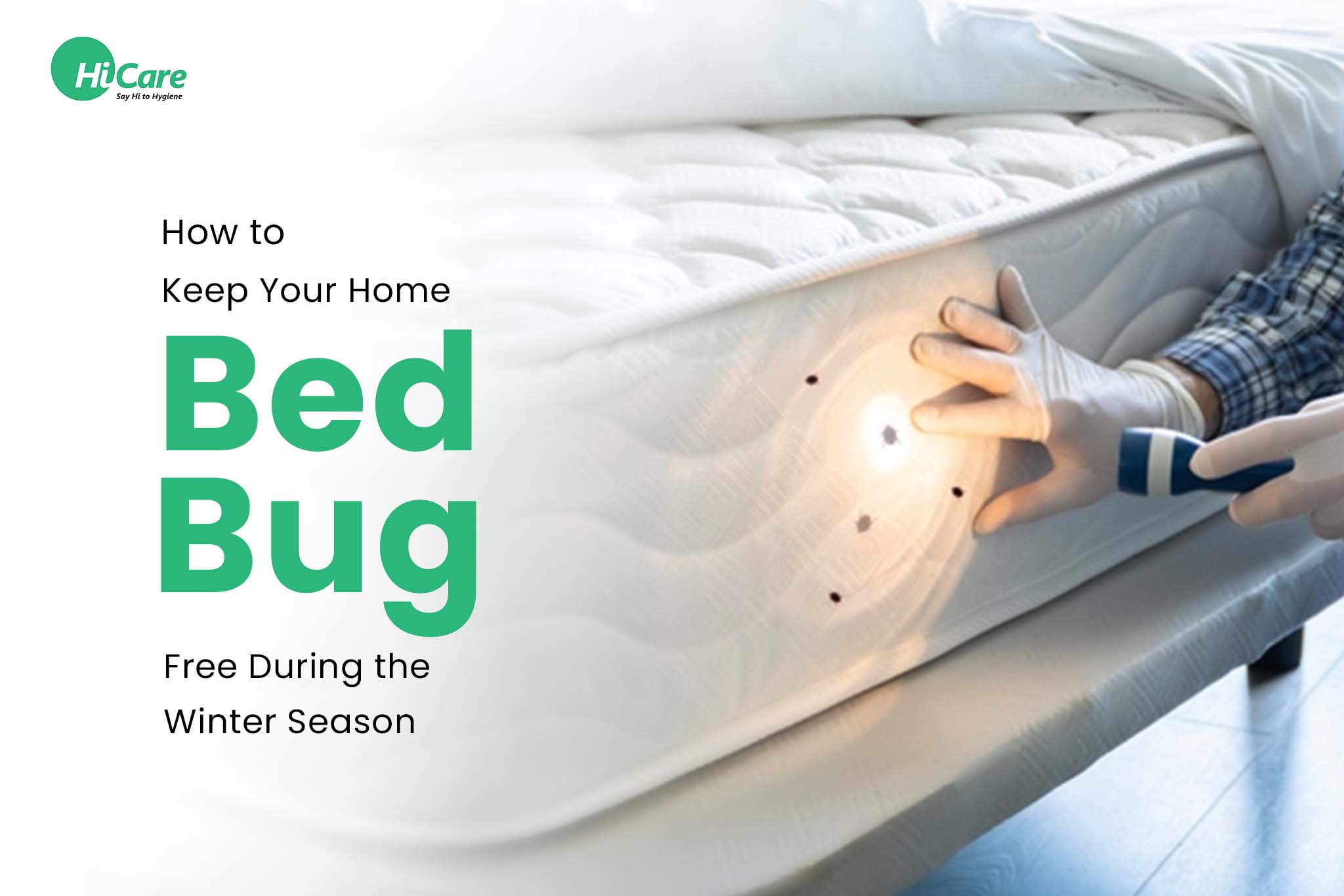 how to keep your home bed bug free during winter season