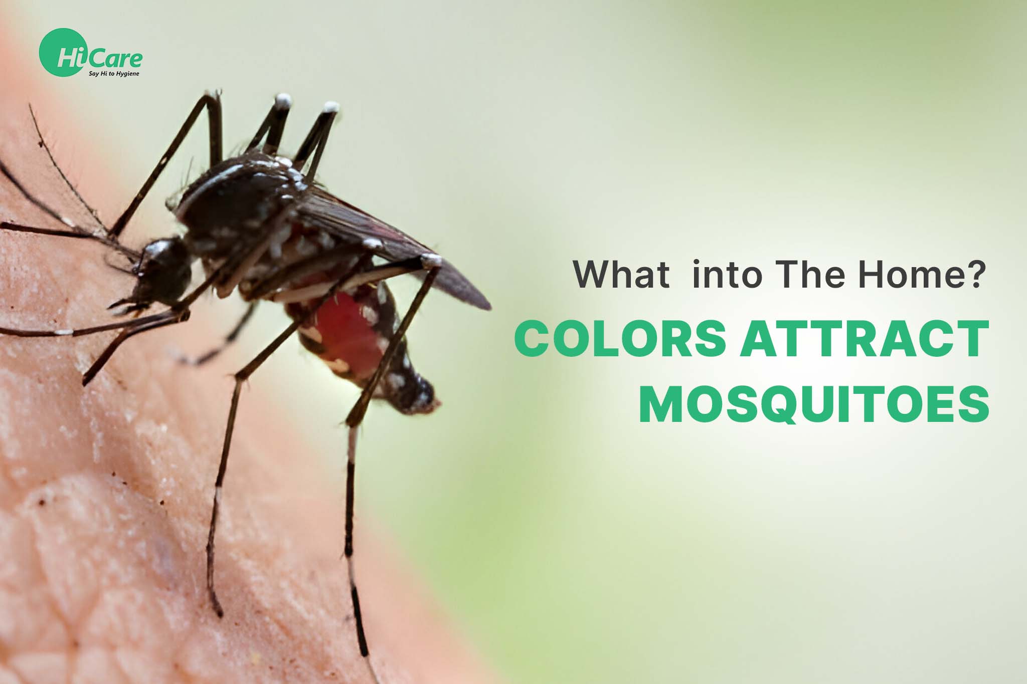 What Colors Attract Mosquitoes to The Home?
