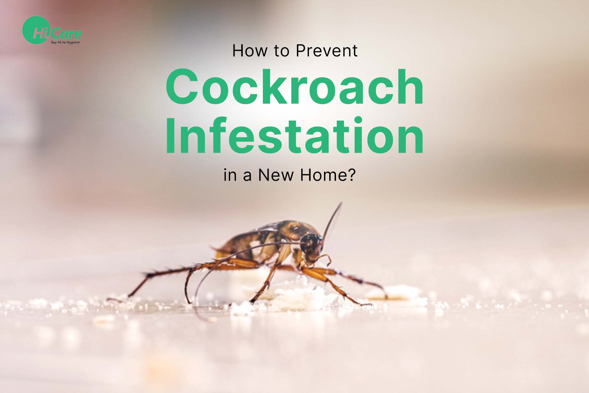 How to Prevent Cockroach Infestation in a New Home?