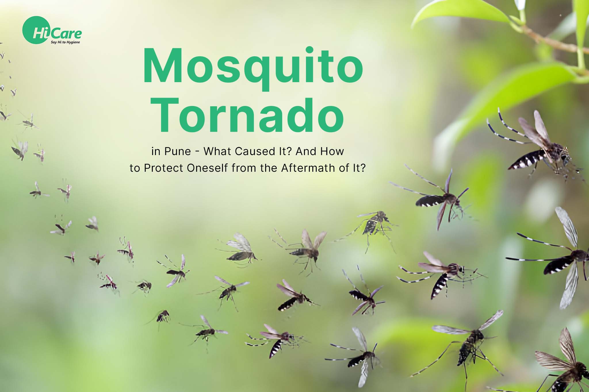 Mosquito Tornado in Pune – What Caused it? And How to Protect Oneself from the Aftermath of it.