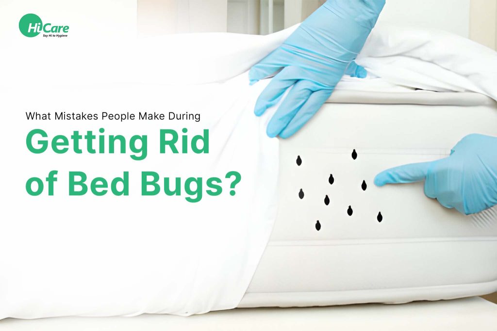Top 4 Mistakes People Make During Getting Rid Of Bed Bugs Top 4 Mistakes People Make During Getting Rid Of Bed Bugs