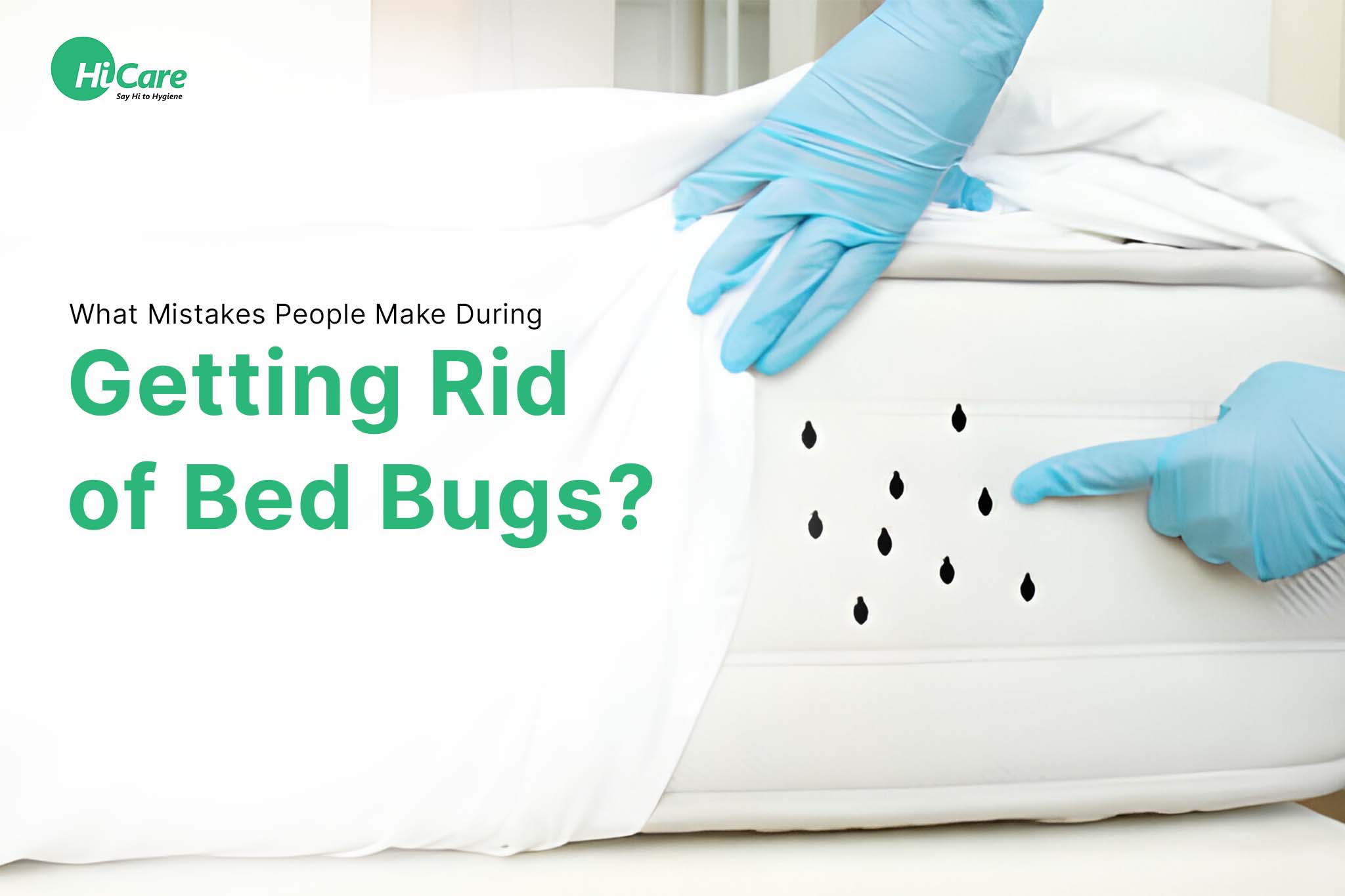 What Mistakes People Make During Getting Rid of Bed Bugs?