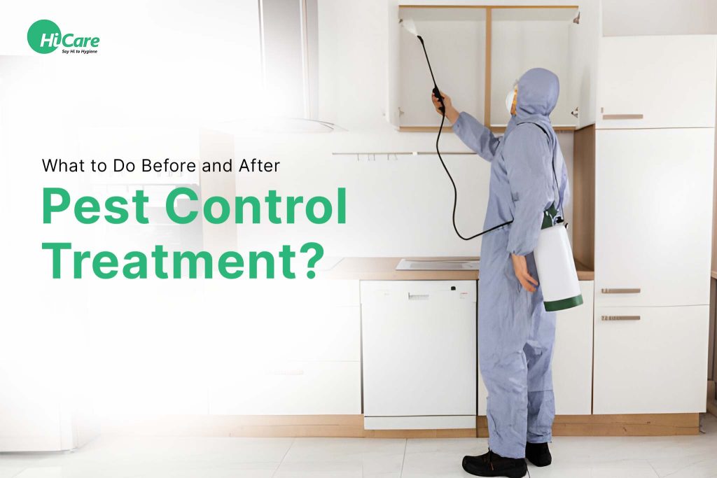 What to Do Before and After Pest Control Treatment | HiCare