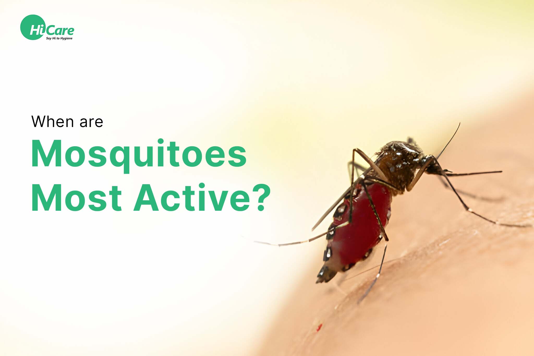 When Are Mosquitoes Most Active?