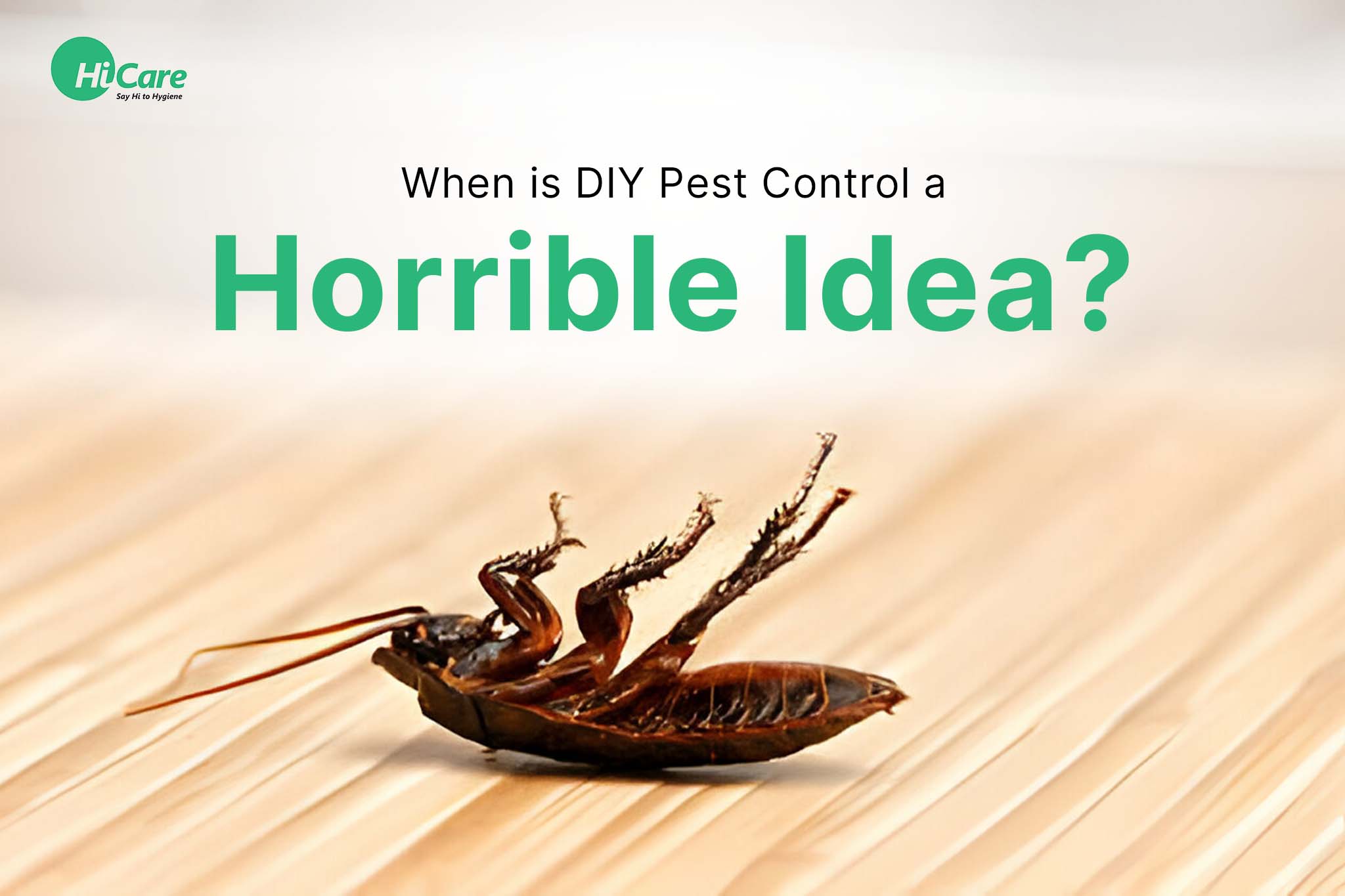 When is DIY Pest Control a Horrible Idea?