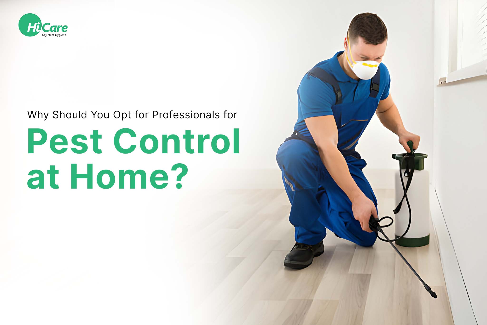 Why Should You Opt for Professionals for Pest Control at Home?