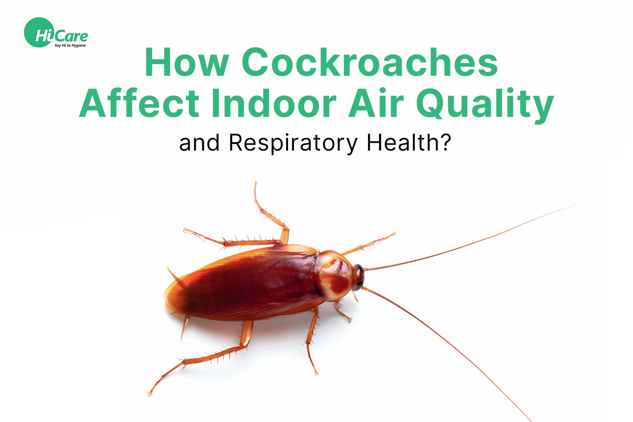 how cockroach affect indoor air quality and respiratory health