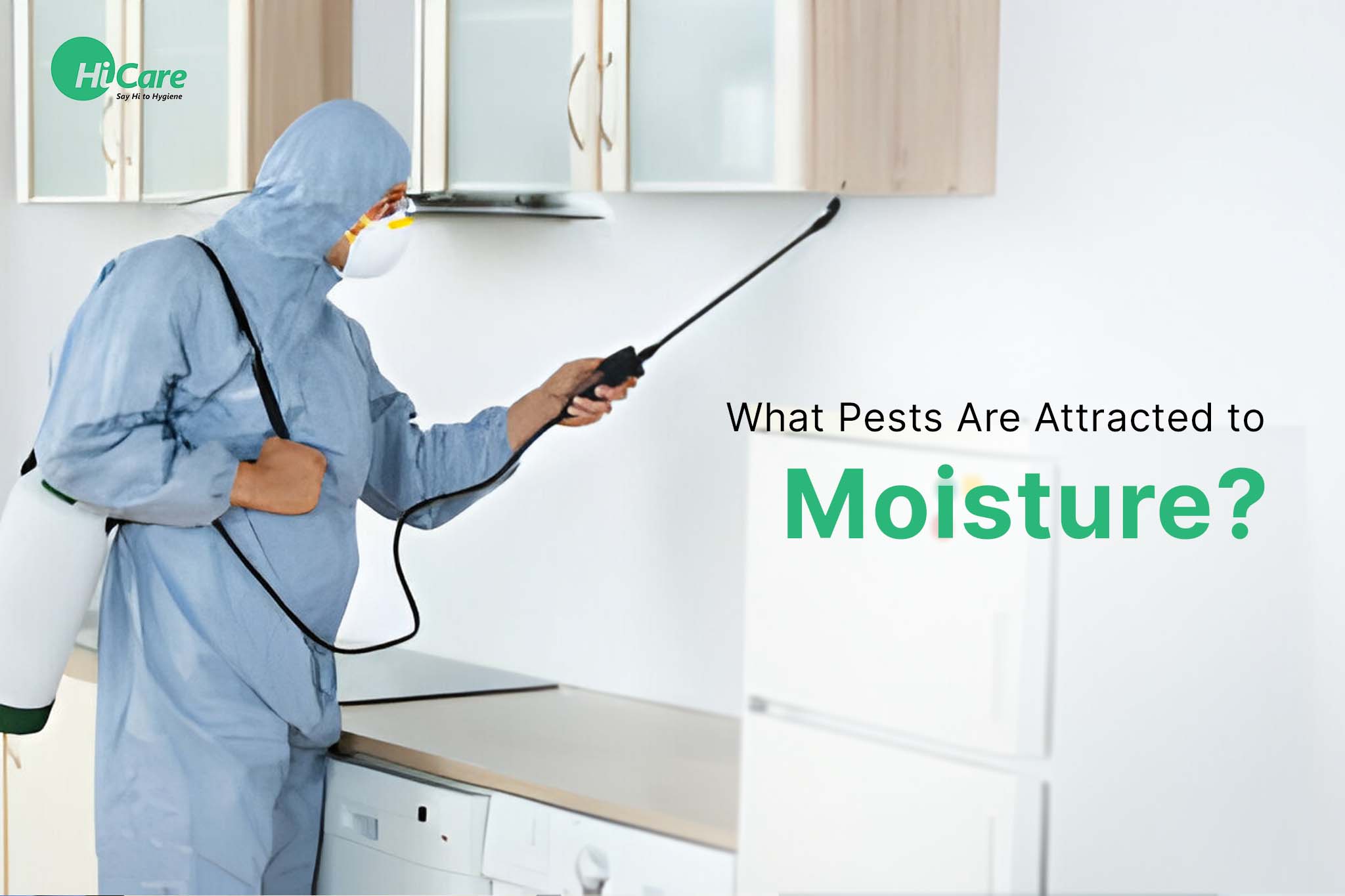 pests that are attracted to moisture