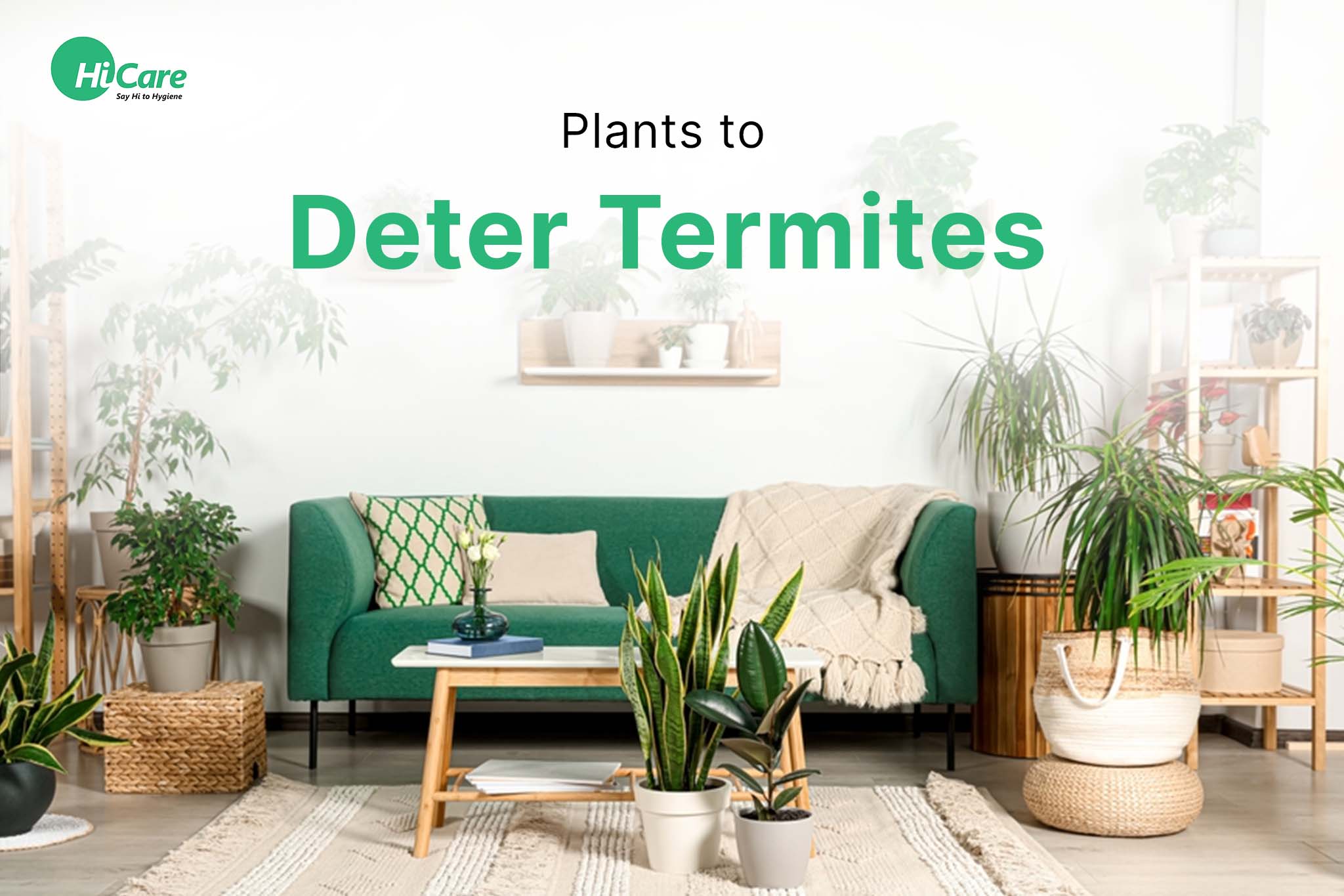 plants to deter termites